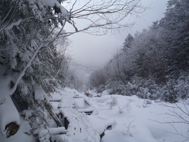 c0147398_1285657.jpg