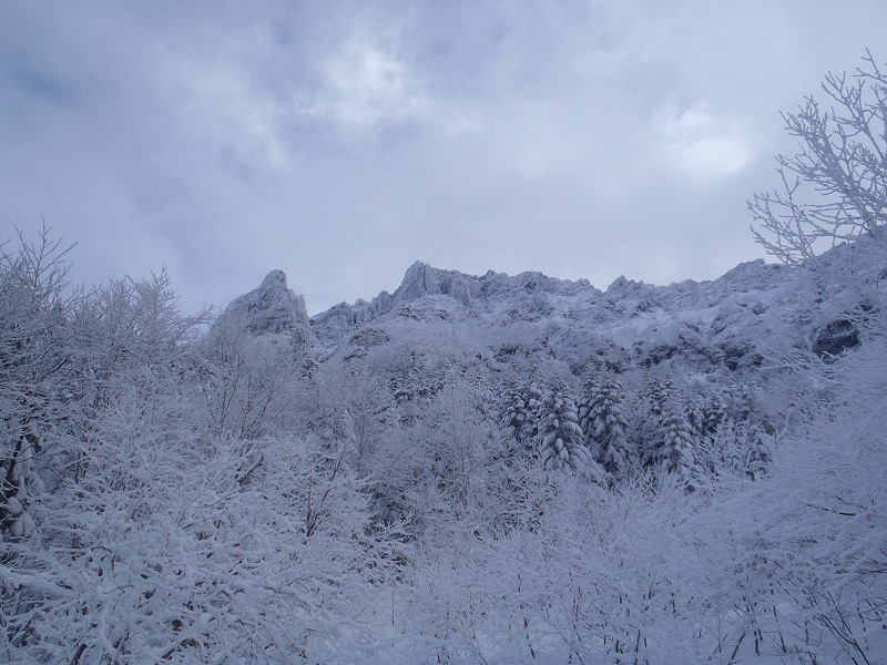 c0147398_22465527.jpg
