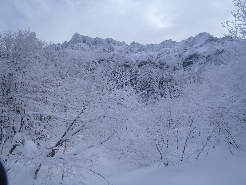 c0147398_22482221.jpg