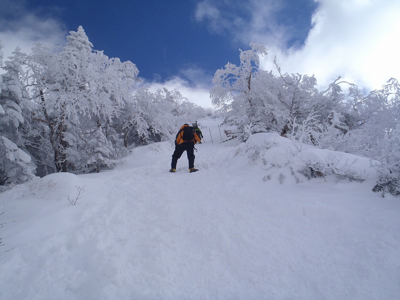 c0147398_22493137.jpg