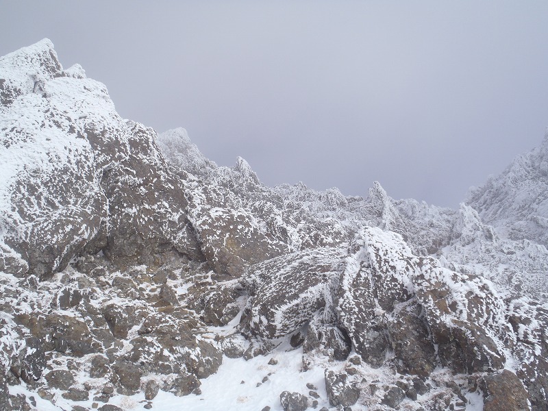 c0147398_22501157.jpg