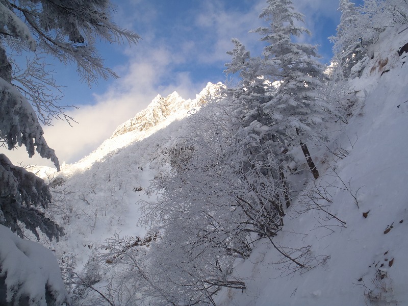 c0147398_22514949.jpg