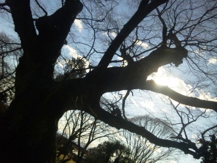 c0128804_1543189.jpg