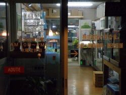 はじめまして。アクア工房いちなまです。_a0193105_15495282.jpg
