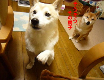 e0131506_22141281.jpg