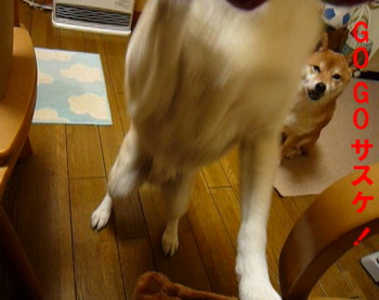 e0131506_2215331.jpg
