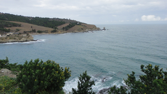 b0197609_4273092.jpg
