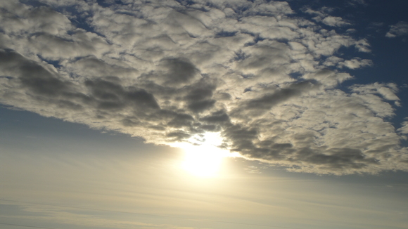 b0197609_7551154.jpg