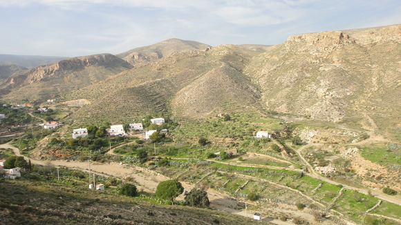 b0197609_8253539.jpg