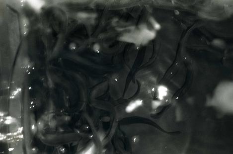 2011_f0036209_21462129.jpg