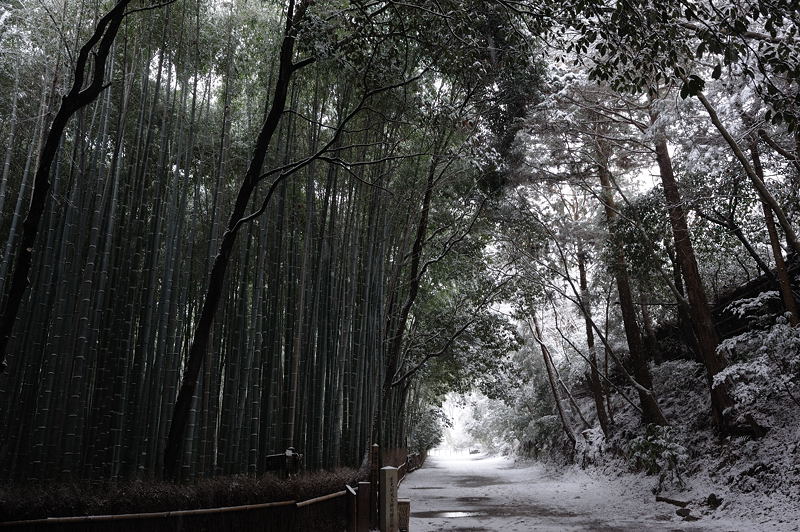 京都初雪景色　其の四_f0032011_18482271.jpg