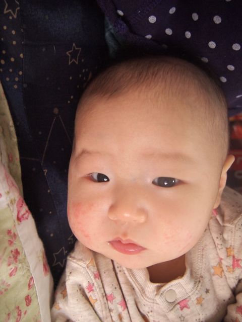 a0151615_1157509.jpg