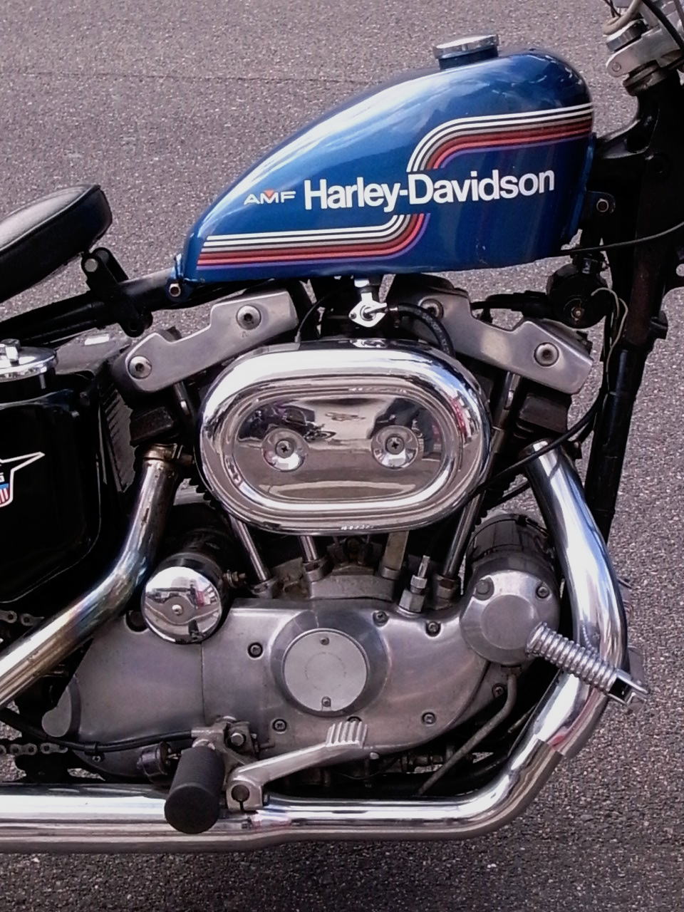 IRON SPORTSTER_b0160319_11403283.jpg