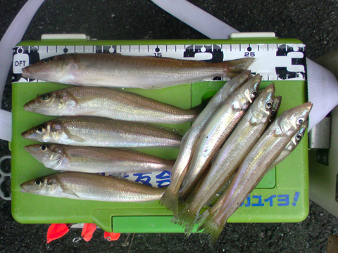 b0186119_14591488.jpg