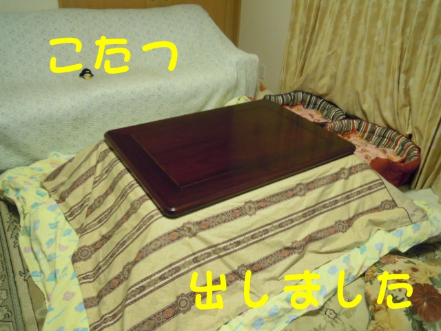 c0166622_21265148.jpg