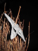 f0147922_11103796.jpg
