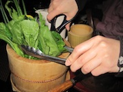 f0147922_1193315.jpg
