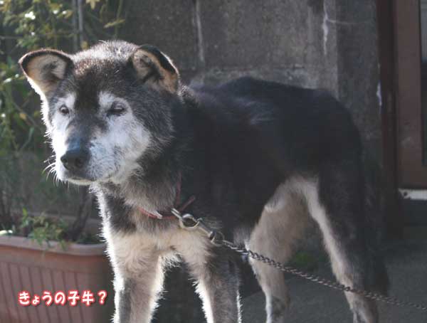 f0203423_151883.jpg