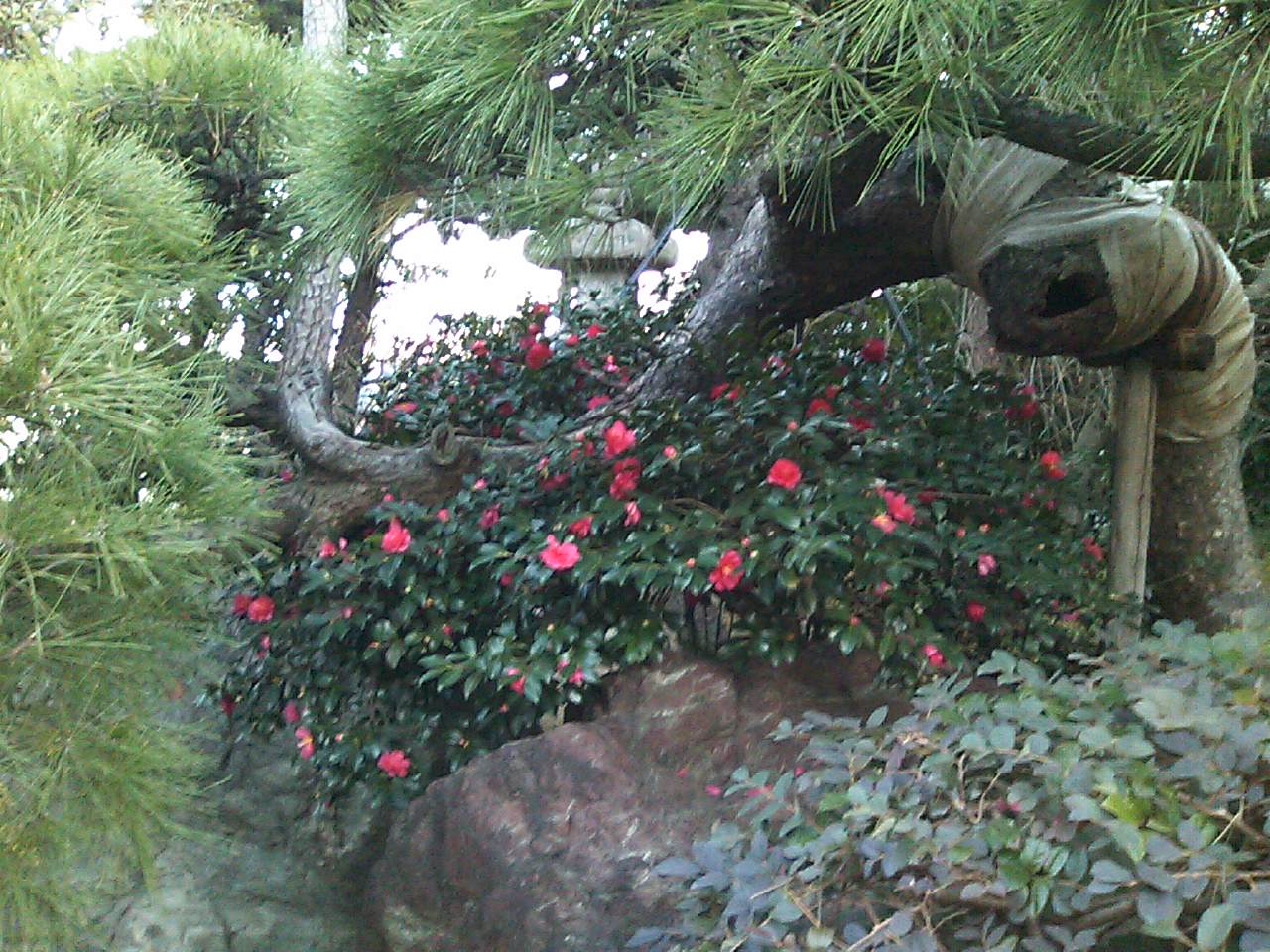 西宮市大谷美術館探訪_e0139926_22204920.jpg