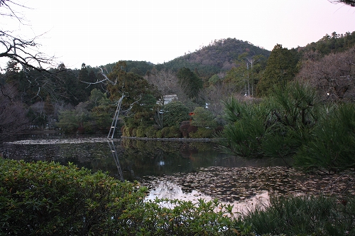 f0054428_033297.jpg
