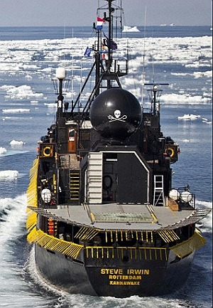 2011年　またも騒がしくなってきた南極海_c0041039_6395795.jpg