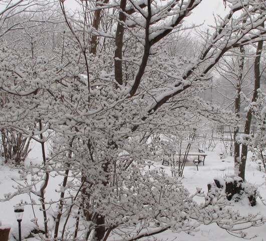 e0172840_2143276.jpg