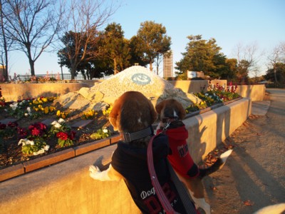 c0119142_33833.jpg