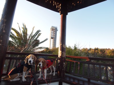 c0119142_36377.jpg