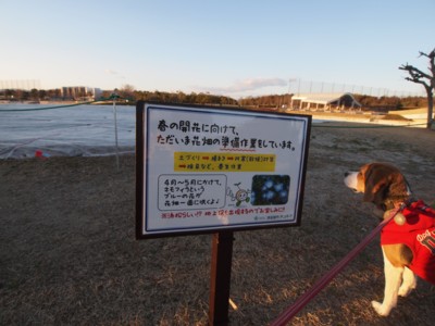 c0119142_39214.jpg