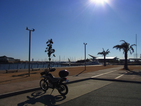 d0164443_1824018.jpg