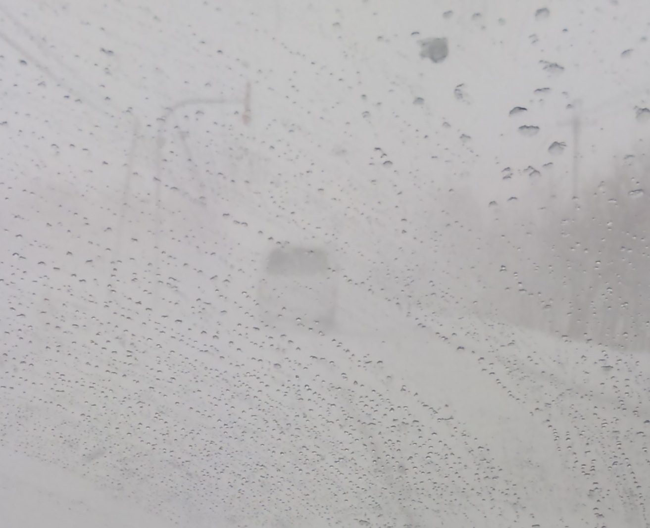 出張は猛吹雪の中!_f0209045_1682317.jpg