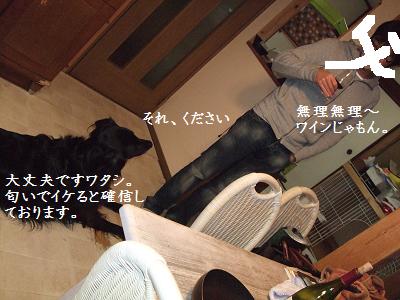 f0192246_2019647.jpg