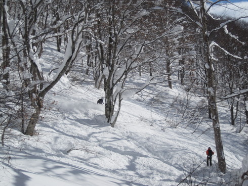 f0209354_1847412.jpg