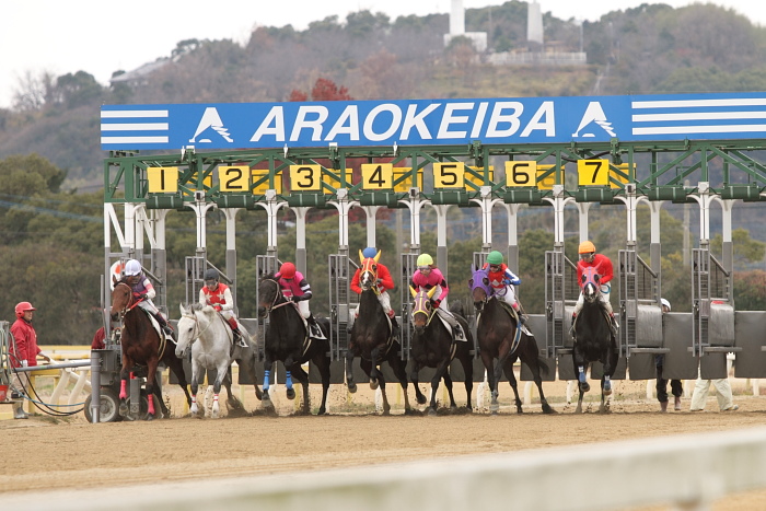 2010年12月16日（木） 荒尾競馬 3R 赤見千尋杯ワイド中継賞（個） C-16組_a0077663_2551913.jpg