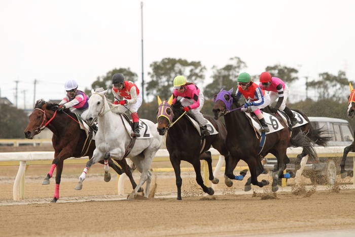 2010年12月16日（木） 荒尾競馬 3R 赤見千尋杯ワイド中継賞（個） C-16組_a0077663_2552988.jpg