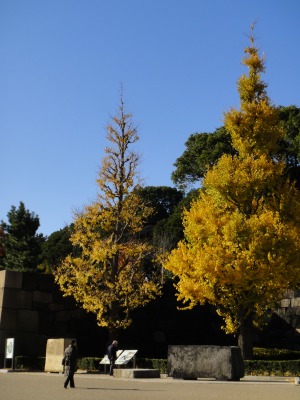 d0141365_2154398.jpg