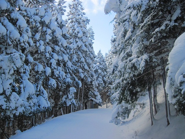 2011.1.7 山スキー風呂塔_c0219866_1834714.jpg