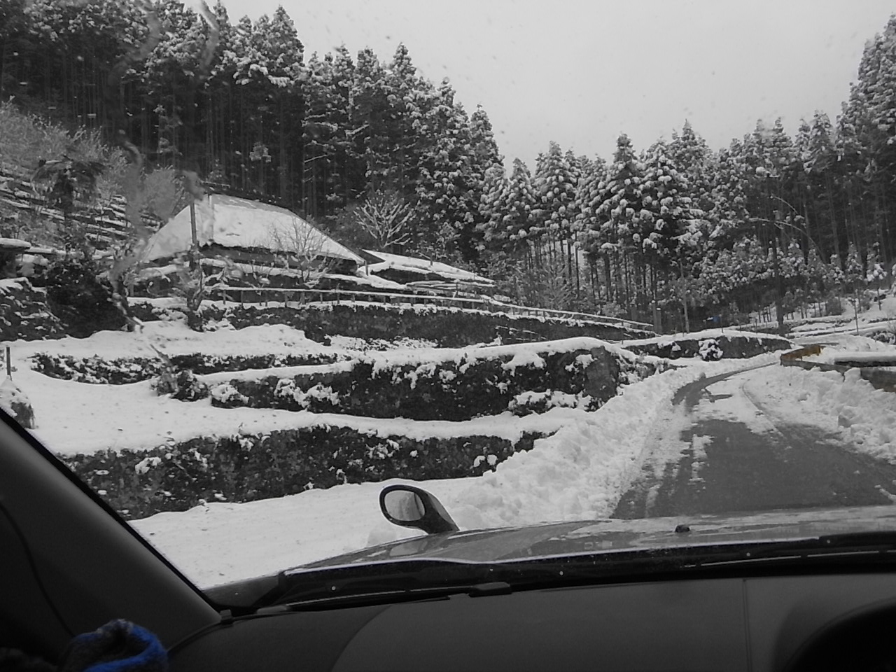 脱出第一弾は？　1月7日（金）　…雪…_a0146070_1742432.jpg