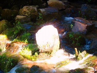 Sacramento River Headwaters_e0198172_944858.jpg