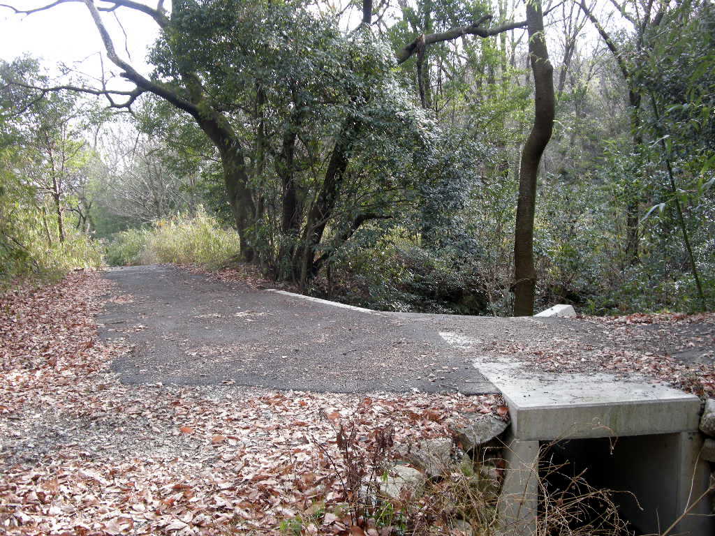 初歩きは増位山から奥広嶺テクテク・20キロ_b0185573_164867.jpg