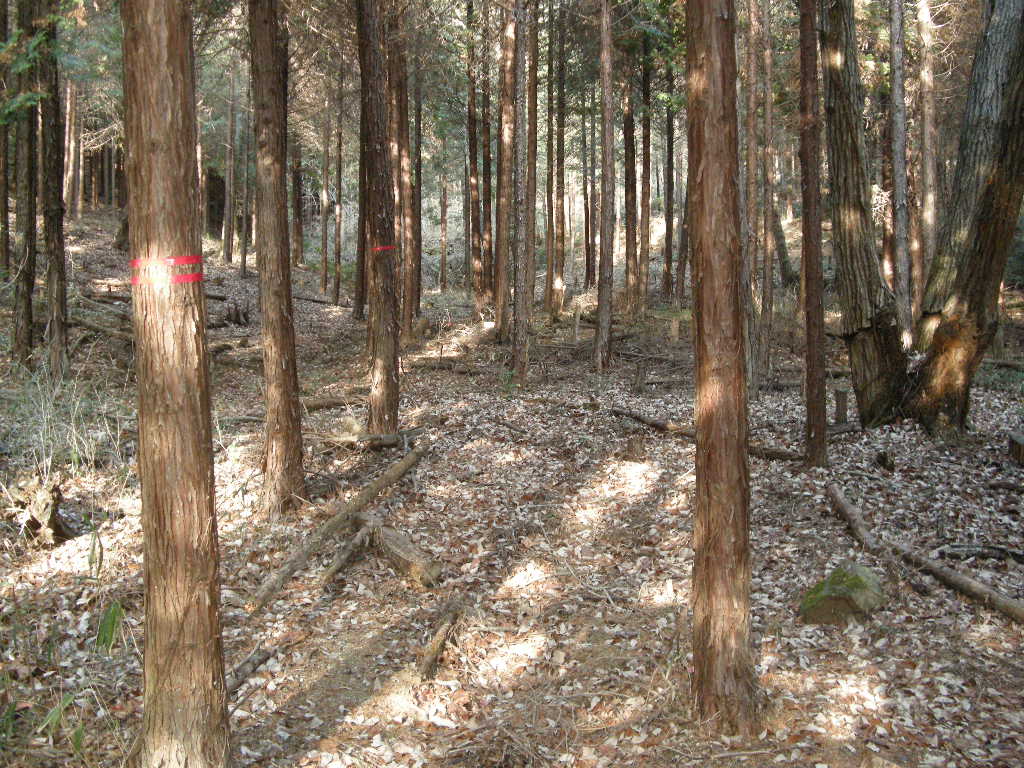 初歩きは増位山から奥広嶺テクテク・20キロ_b0185573_6361840.jpg