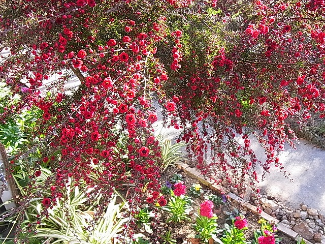 e0181373_20321916.jpg