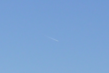 c0204088_8354970.jpg