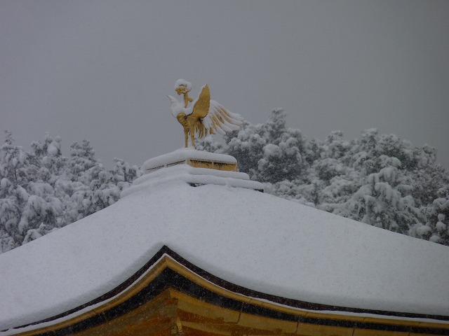 大晦日、雪の金閣_e0061694_1517950.jpg