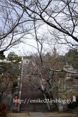 a0185598_22292381.jpg