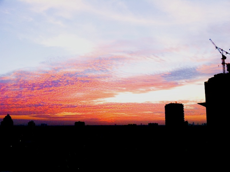 f0068901_11275234.jpg