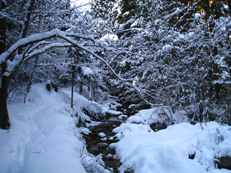 a0097006_1855109.jpg