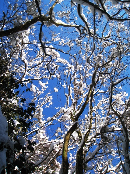 a0097006_1942411.jpg