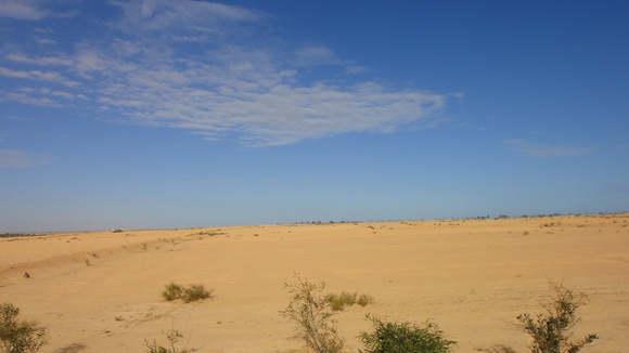 b0197609_114786.jpg