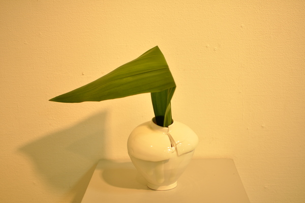c0163210_1461787.jpg